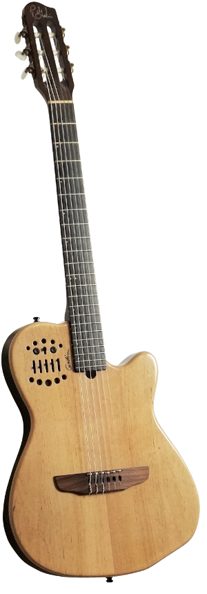 Godin Guitar