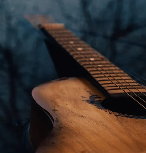 Gitarre für das Blumenfenster